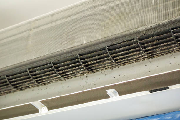 Best Commercial Air Duct Cleaning  in Madison, WV